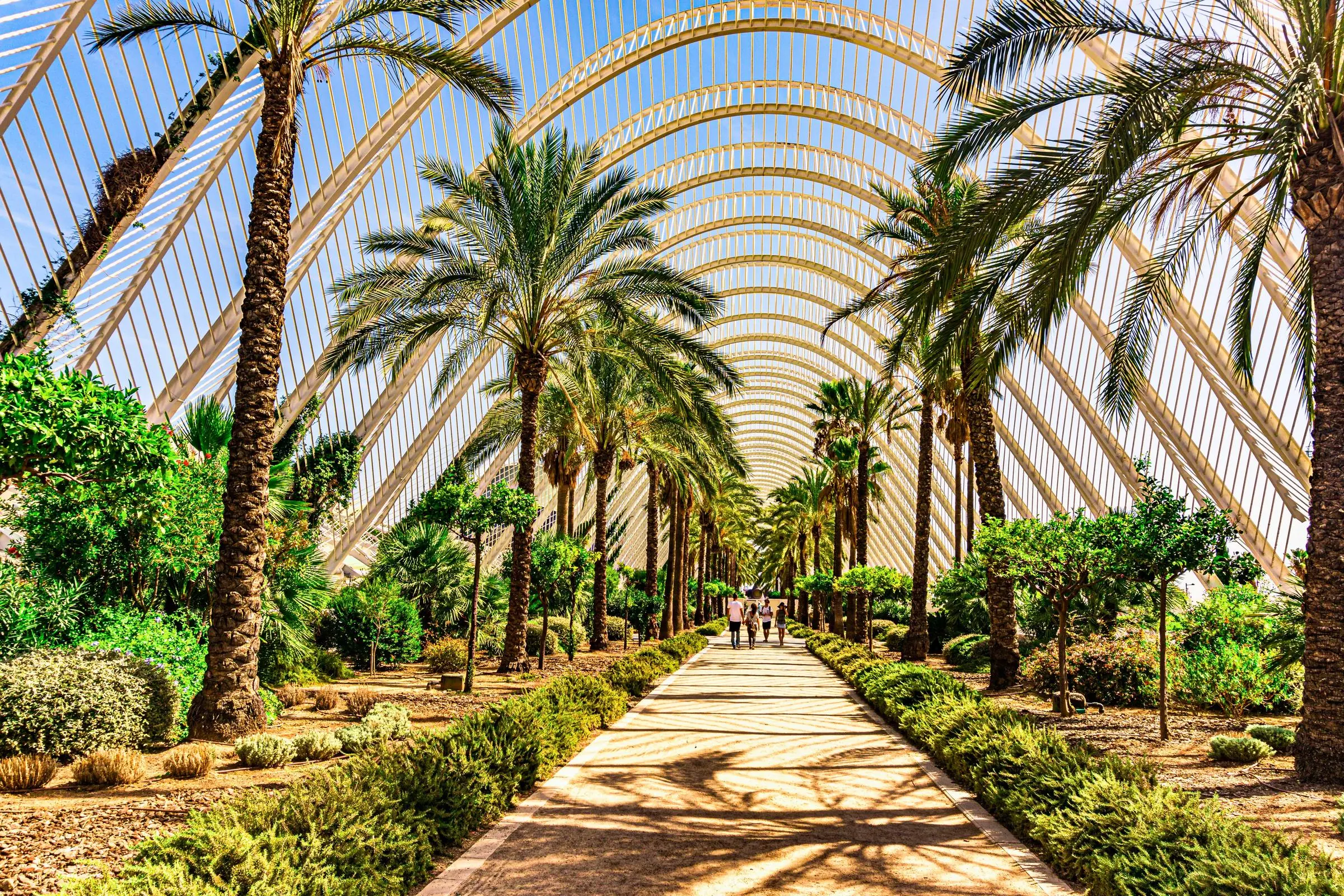 The curved iron structure of the Umbracle inside Valencia's Botanical Garden surrounded by lush greenery